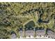Overhead view of lush green space and pond offering a serene community and enhanced living experience at 5360 Riverwalk Preserve Dr, New Port Richey, FL 34653