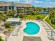 Overhead view of a kidney bean-shaped community pool in a well-maintained residential neighborhood at 5557 Sea Forest Dr # 318, New Port Richey, FL 34652