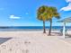 A serene beach featuring white sand, crystal clear water, and tropical palm trees in the waterfront community at 5557 Sea Forest Dr # 318, New Port Richey, FL 34652