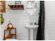 Bathroom featuring a vanity sink, shiplap wall, and a shower with a patterned curtain at 6244 Warren Ave, New Port Richey, FL 34653