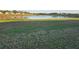 Large grass backyard of a home backing to a pond in a community of single Gathering homes at 11130 Carriage Hill Dr # 1, Port Richey, FL 34668