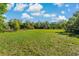 Large, grassy lot on a sunny day with mature trees, offering plenty of space and privacy at 11423 Ennis Sheard Rd, Seffner, FL 33584