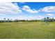 A lush green soccer field is featured in this image, complete with a soccer net, palm trees, and some building infrastructure at 15793 Midnight Dove Ct, Odessa, FL 33556