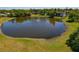 Aerial view of a serene pond with a fountain, surrounded by lush green grass and trees at 1737 Pine Ridge W Way # B-1, Palm Harbor, FL 34684