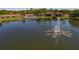Scenic aerial view of a community with a lake, fountain, pool, and well-maintained buildings surrounded by trees at 1737 Pine Ridge W Way # B-1, Palm Harbor, FL 34684