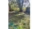Backyard with lush foliage and mature trees at 315 Highland St, Brooksville, FL 34601