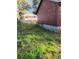View of the backyard that shows the layout and landscaping at 315 Highland St, Brooksville, FL 34601