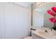 Cozy bathroom featuring a shower with curtain, and a vanity with mirror and pink flower accents at 7239 Sharpsburg Blvd, New Port Richey, FL 34653