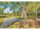 Lush backyard view overlooking a serene pond, with mature trees providing ample shade at 9046 Lake Place Ln # 9046, Tampa, FL 33634