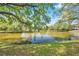 Lake view framed by mature trees offering a serene and picturesque setting at 9046 Lake Place Ln # 9046, Tampa, FL 33634
