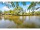 Scenic lake view surrounded by lush greenery, offering a tranquil atmosphere at 9046 Lake Place Ln # 9046, Tampa, FL 33634