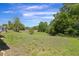 Expansive yard and green space with mature trees and landscaping offering privacy and scenic views at 1038 Greenturf Rd, Spring Hill, FL 34608