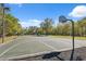 Outdoor basketball court with hoops surrounded by trees at 1312 Lake Polo Dr, Odessa, FL 33556