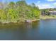 Dock on a lake with lush green trees at 1312 Lake Polo Dr, Odessa, FL 33556