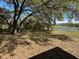 Shady backyard with mature trees and a peaceful view of a pond at 13648 Crest Lake Dr, Hudson, FL 34669