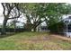 A nice backyard with a large tree and an iron fence surrounding the yard and pool area at 19109 Beckett Dr, Odessa, FL 33556