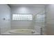 Bathroom with soaking tub and glass block window and divider at 19109 Beckett Dr, Odessa, FL 33556