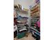 Walk-in closet with wire shelving and organizational systems for clothing and accessories at 2375 Fairskies Dr, Spring Hill, FL 34606