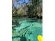 A beautiful river or stream glistens in the sunlight at 4096 Everett Ave, Spring Hill, FL 34609