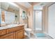 Bathroom with a wood vanity, granite countertops, and walk-in shower at 4516 Seagull Dr # 509, New Port Richey, FL 34652