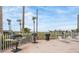 Community grilling area with palm trees and lounge chairs at 4516 Seagull Dr # 509, New Port Richey, FL 34652