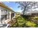 Well-maintained backyard with lush green grass, manicured shrubs and mature trees at 4831 Wakefield Ct, New Port Richey, FL 34655