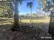 Overgrown backyard with a view of a distant playground area and mature trees at 625 25Th S Ave, St Petersburg, FL 33705