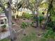 Lush backyard with mature trees offers privacy and natural beauty in a tranquil setting at 10635 Timber Ln, Port Richey, FL 34668