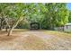 Open backyard with a metal shed for storage, set amongst lush trees at 11326 Minnieola Dr, New Port Richey, FL 34654