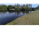 View of a community pond surrounded by green grass and lush trees at 1250 Halapa Way, Trinity, FL 34655