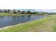 Large pond with a grassy bank and several homes with lush landscaping in the background at 1709 Nodding Thistle Dr, New Port Richey, FL 34655