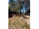 Vast backyard with lush grass and a variety of mature shade trees at 2335 Canfield Dr, Spring Hill, FL 34609
