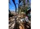 Spacious backyard with mature trees, offering shade and privacy at 2335 Canfield Dr, Spring Hill, FL 34609