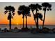 Stunning sunset view over the ocean, framed by silhouettes of palm trees, offering a picturesque coastal living experience at 4939 Floramar Ter # 810, New Port Richey, FL 34652