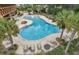 Aerial view of a lagoon-style community pool with lounge seating, palm trees and lush landscaping at 6068 Apple Snail Ave, New Port Richey, FL 34653
