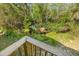 A gorgeous backyard view from the patio, with a tranquil creek surrounded by lush greenery at 7240 Creek Dr, New Port Richey, FL 34655