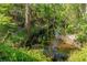 Serene creek surrounded by dense, verdant foliage, offering a peaceful natural setting at 7240 Creek Dr, New Port Richey, FL 34655