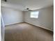 Primary bedroom featuring a ceiling fan, carpet flooring and a window for natural light at 10921 Stamford Dr, Port Richey, FL 34668