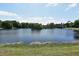 Picturesque lake view featuring serene water feature surrounded by mature trees and lush green vegetation at 23310 Cascade Pl, Land O Lakes, FL 34639