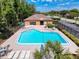 A sparkling community pool with lounge chairs surrounded by a black fence and lush landscaping and community building at 3142 Crenshaw Ct, New Port Richey, FL 34655