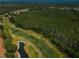 An aerial view of the golf course and surrounding landscape highlights the trees and greenery at 9636 Brookdale Dr, New Port Richey, FL 34655