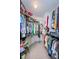 Walk-in closet with built-in shelving for shoes and an abundance of hanging space for organizing wardrobes at 9636 Brookdale Dr, New Port Richey, FL 34655