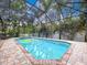 Screened-in pool with brick patio and spa, surrounded by lush tropical landscaping offering the ultimate privacy at 1218 Castle Ter, Tarpon Springs, FL 34689