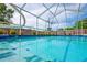 Sparkling in-ground pool with steps, blue tile, screened enclosure, and mature landscaping beyond the fence at 12300 Drake Ln, Spring Hill, FL 34609