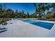 Full view of two pickleball courts surrounded by towering trees and a fence at 18725 Jiretz Rd, Odessa, FL 33556