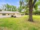 Well-maintained backyard with lush green grass, mature trees, and a cozy porch extension at 24104 Peppermill Dr, Brooksville, FL 34601