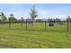 Well maintained community dog park featuring play equipment, providing a great area for pets and their owners at 30839 Penny Surf Loop, Wesley Chapel, FL 33545