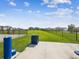 Fenced dog park area, providing a secure space for pets to play and socialize within the community at 30839 Penny Surf Loop, Wesley Chapel, FL 33545