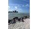 Scenic view of a rocky beach with water and an island in the background at 5335 Embassy Ave # 5335, New Port Richey, FL 34652