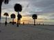 Picturesque sunset view at the beach with palm trees silhouetted against the colorful sky at 5335 Embassy Ave # 5335, New Port Richey, FL 34652